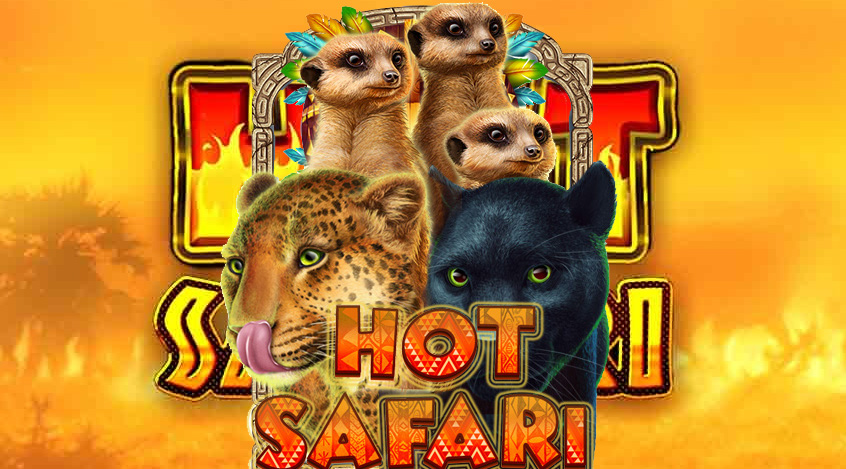 Hot Safari