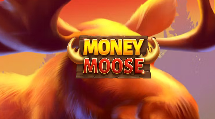 Money Moose Petualangan Keuangan yang Menghibur